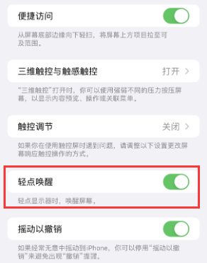 惠东苹果授权维修站分享iPhone轻点无法唤醒怎么办 