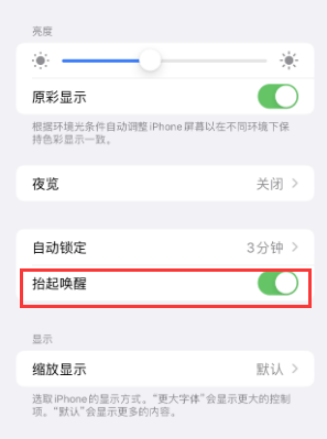 惠东苹果授权维修站分享iPhone轻点无法唤醒怎么办