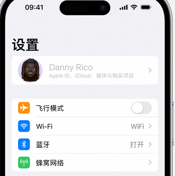 惠东appleID维修服务iPhone设置中Apple ID显示为灰色无法使用 