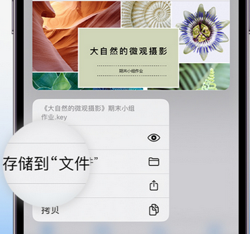 惠东apple维修中心分享iPhone文件应用中存储和找到下载文件