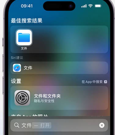 惠东apple维修中心分享iPhone文件应用中存储和找到下载文件 