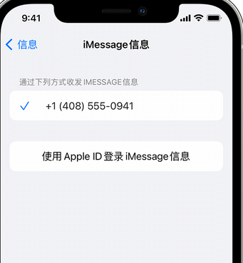 惠东apple维修iPhone上无法正常发送iMessage信息