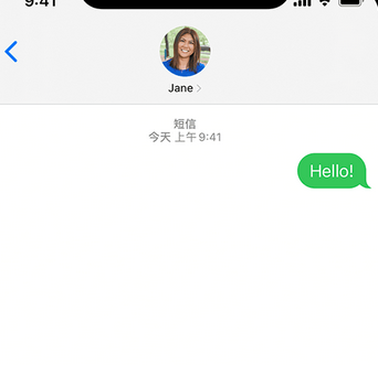 惠东apple维修iPhone上无法正常发送iMessage信息