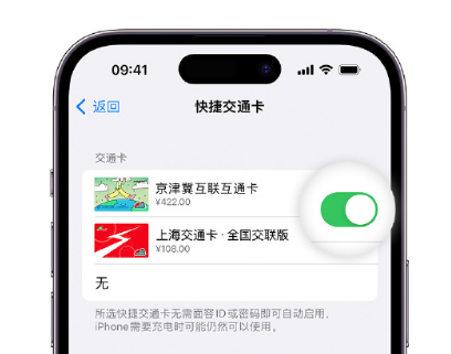 惠东apple维修点分享iPhone上更换Apple Pay快捷交通卡手绘卡面 