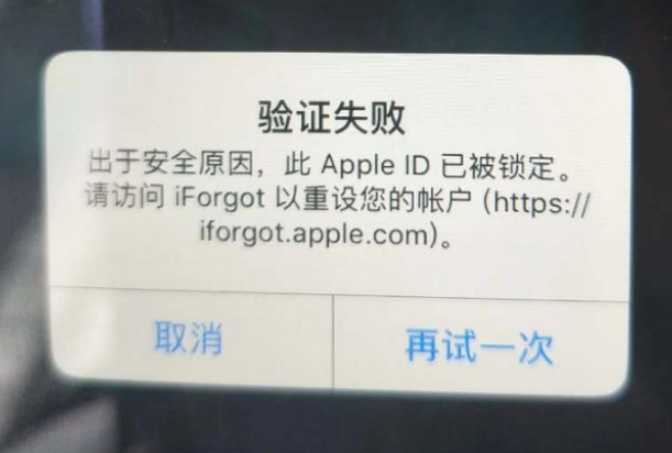 惠东iPhone维修分享iPhone上正常登录或使用AppleID怎么办 