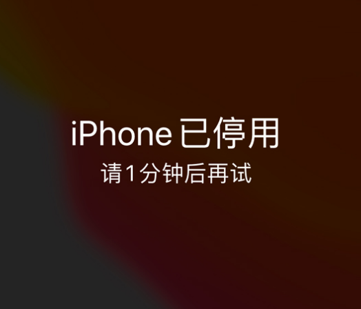 惠东苹果手机维修分享:iPhone 显示“不可用”或“已停用”怎么办？还能保留数据吗？ 