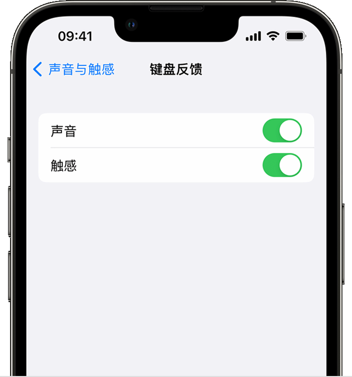 惠东苹果14维修店分享如何在 iPhone 14 机型中使用触感键盘 