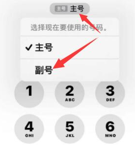 惠东苹果14维修店分享iPhone 14 Pro Max使用副卡打电话的方法 