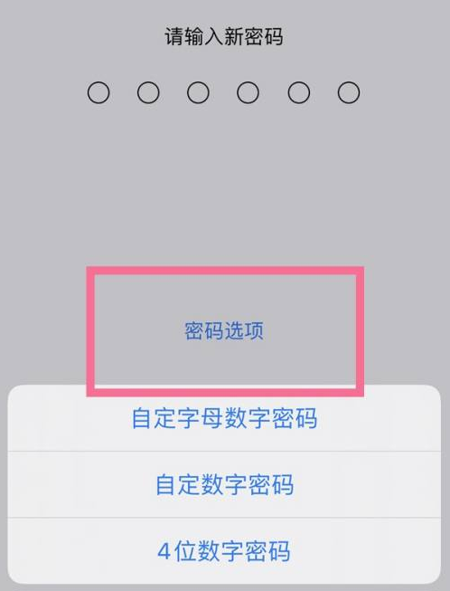 惠东苹果14维修分享iPhone 14plus设置密码的方法 