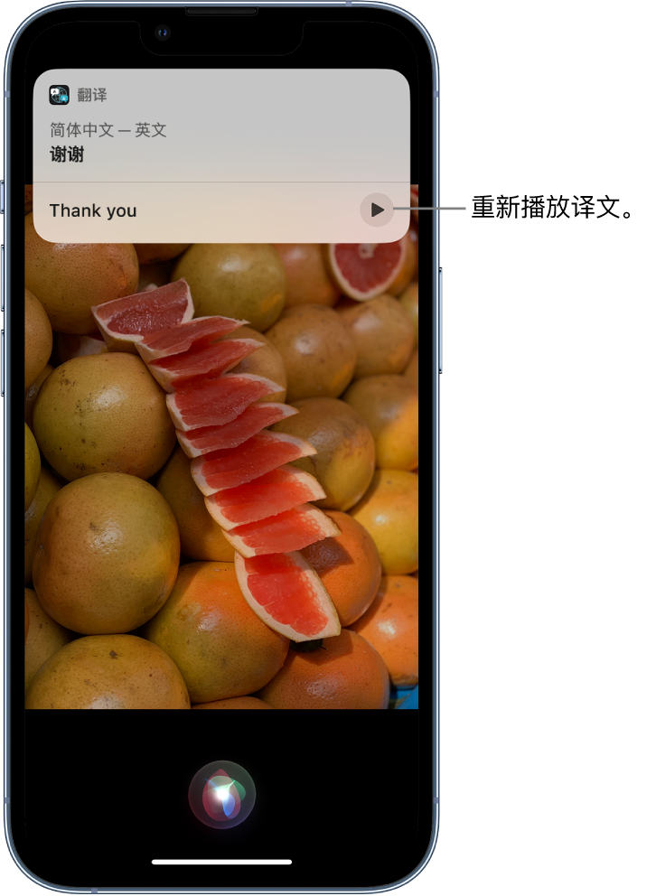 惠东苹果14维修分享 iPhone 14 机型中使用 Siri：了解 Siri 能帮你做什么 