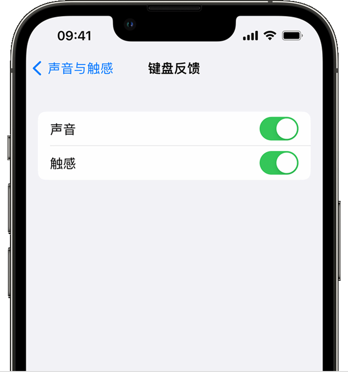 惠东苹果14维修分享iPhone 14 系列机型如何开启键盘声音或触感反馈 