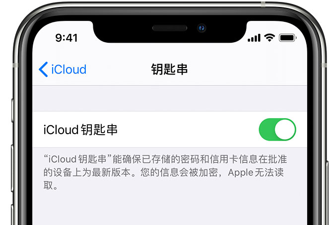 惠东苹果手机维修分享在 iPhone 上开启 iCloud 钥匙串之后会储存哪些信息 