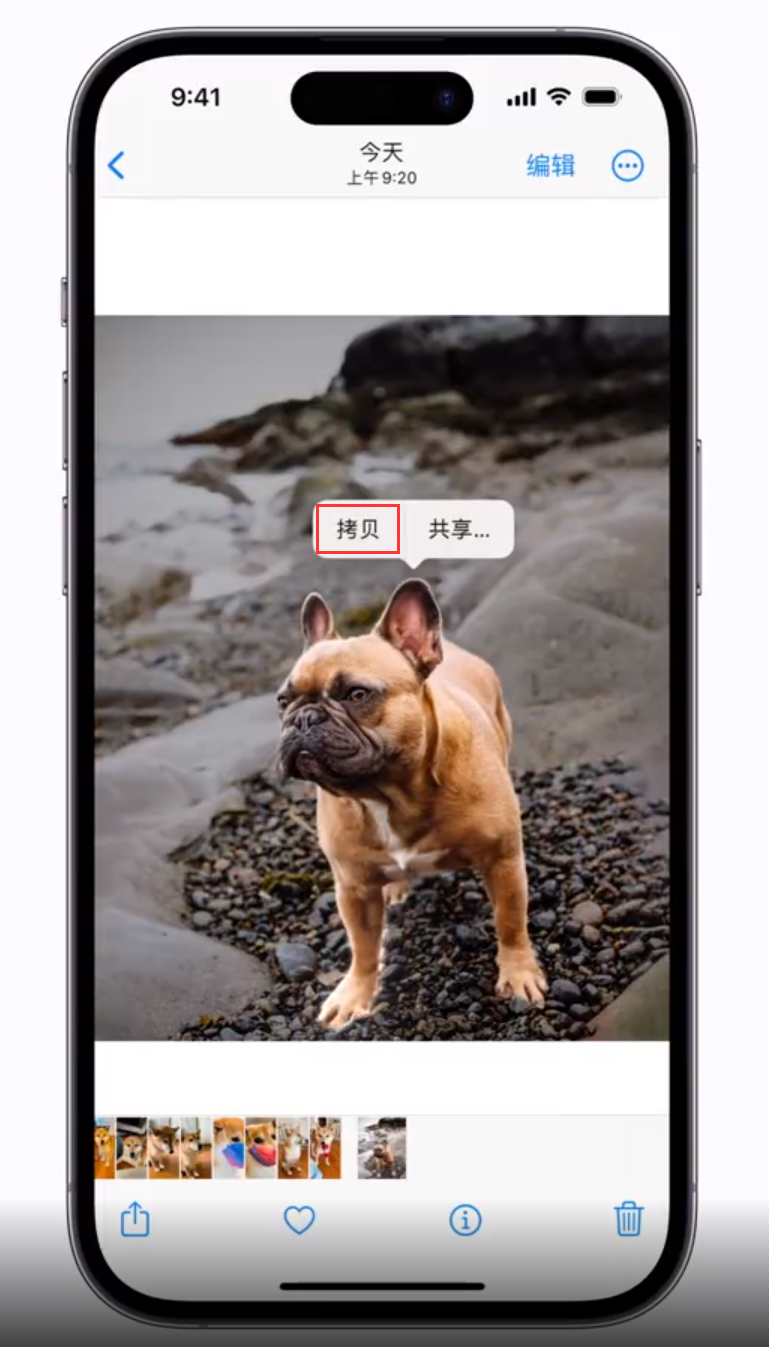 惠东苹果手机维修分享 iOS 16 自带一键抠图功能 