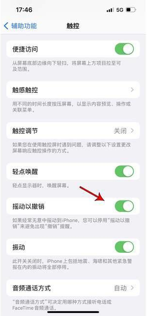 惠东苹果手机维修分享iPhone手机如何设置摇一摇删除文字 