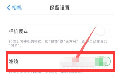 惠东苹果13维修分享iPhone13拍照有绿点是怎么回事 