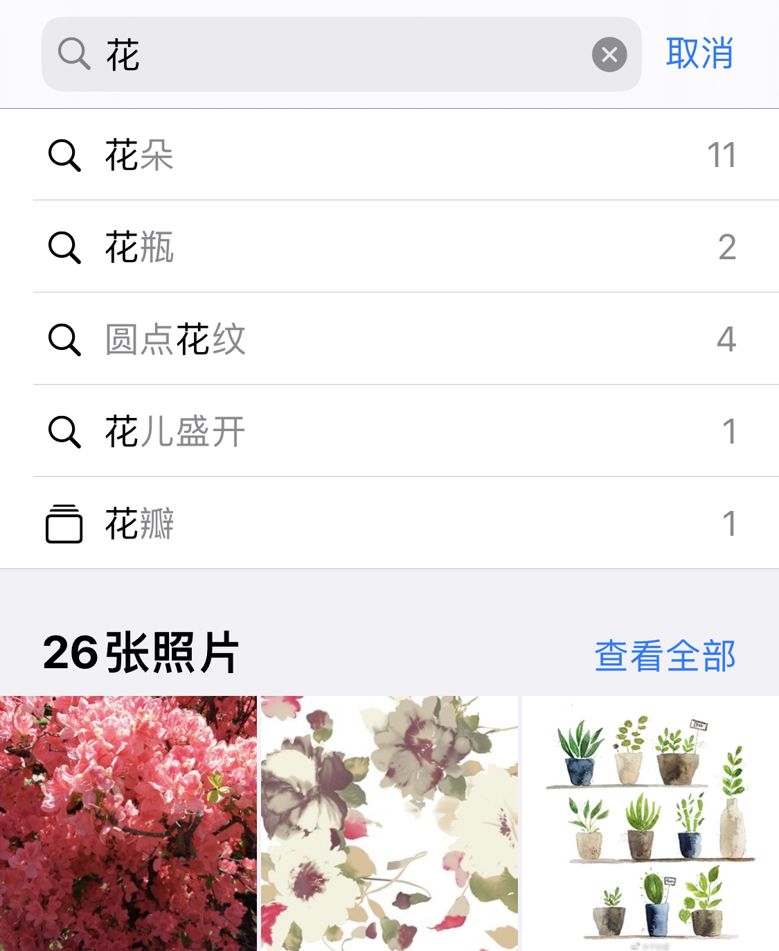 惠东苹果手机维修分享iPhone 小技巧 