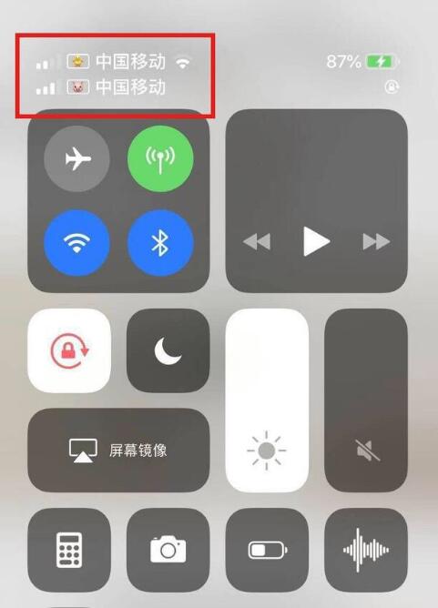 惠东苹果手机维修分享为 iPhone 12 双卡设置标签 
