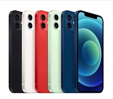 惠东苹果维修点分享iPhone 12 Pro Max黑屏冷门故障解读 